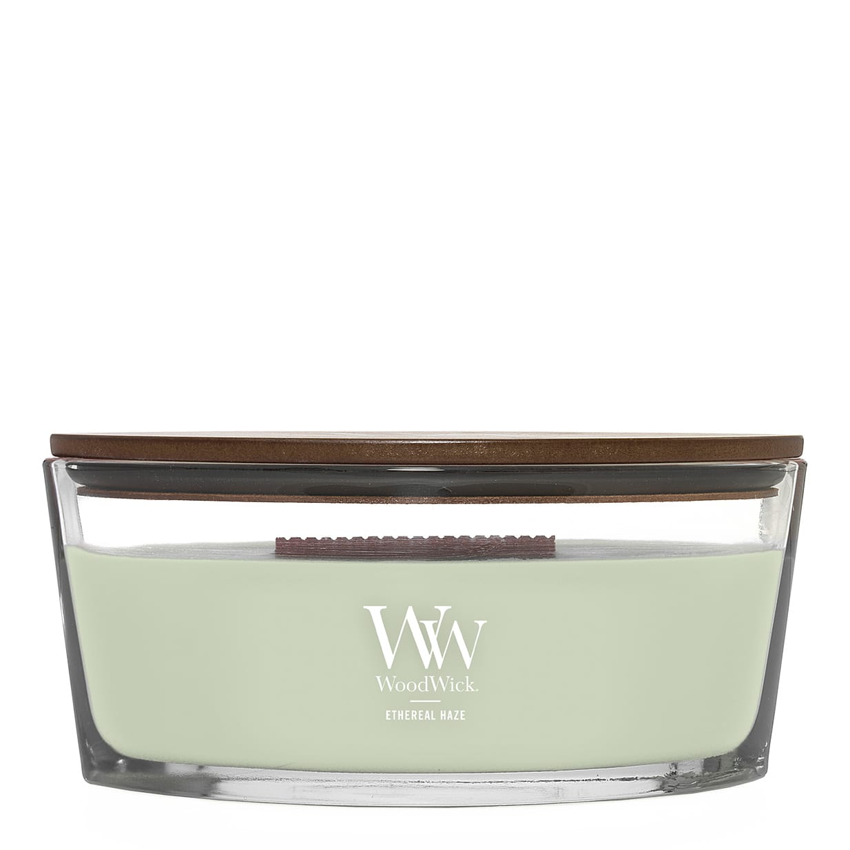 Ellipse Candles - Magnolia Birch