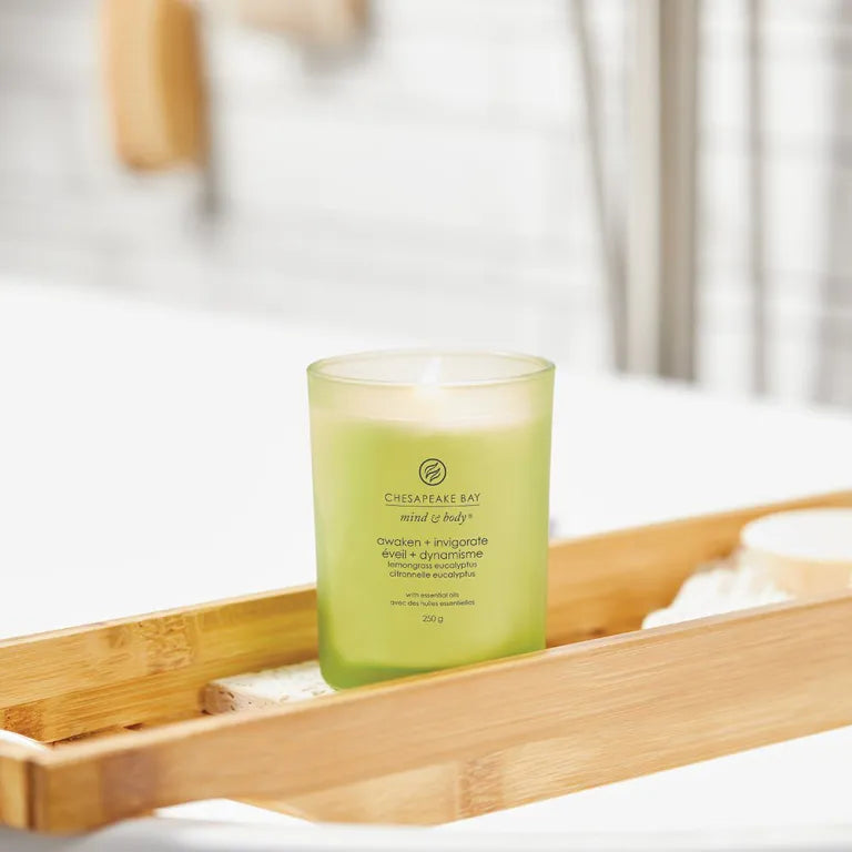 Candele Ellisse - Bacche Cremisi