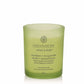 Candele Ellisse - Bacche Cremisi