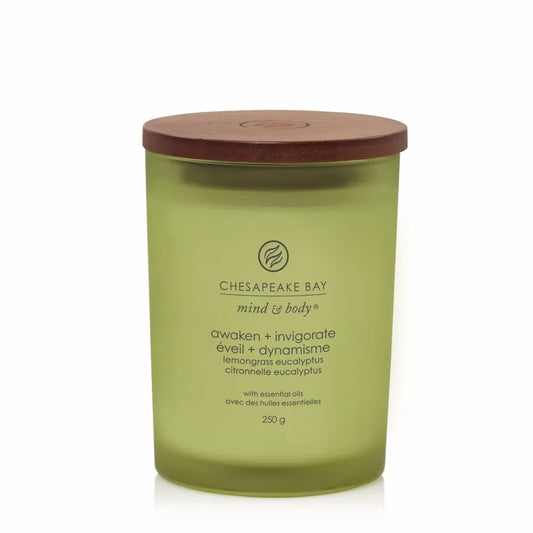 Candele Ellisse - Bacche Cremisi