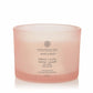 Candele Ellisse - Bacche Cremisi