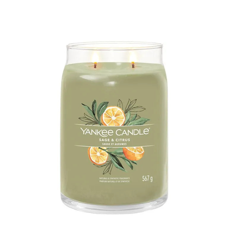 Ellipse Candles - Crimson Berries