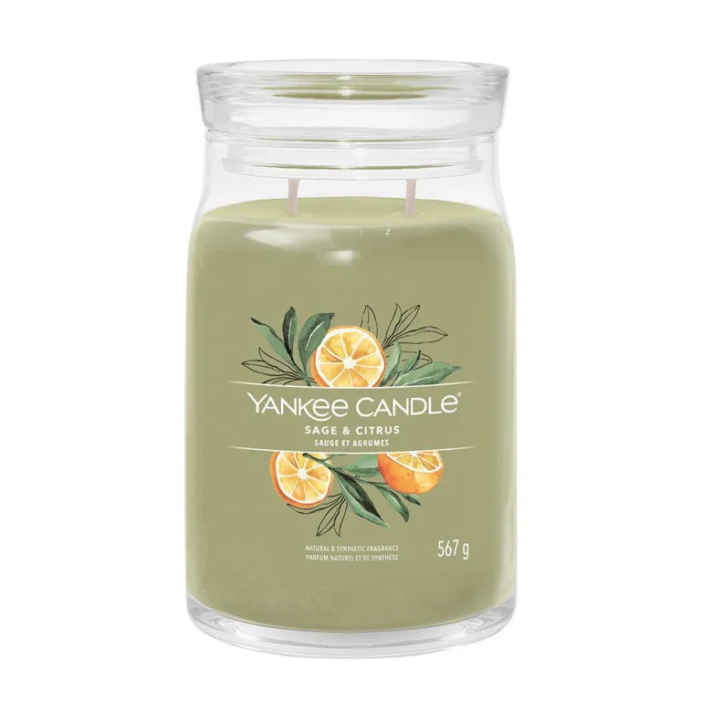 Ellipse Candles - Crimson Berries