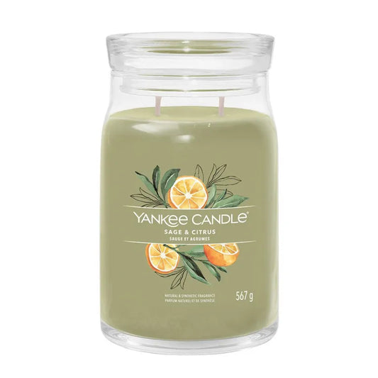 Ellipse Candles - Crimson Berries