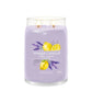 Ellipse Candles - Crimson Berries