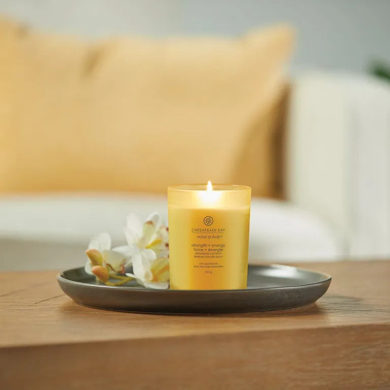 Candele Ellisse - Bacche Cremisi