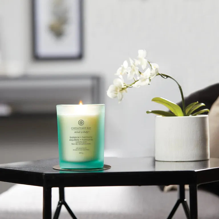 Candele Ellisse - Bacche Cremisi