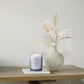Candele Ellisse - Bacche Cremisi