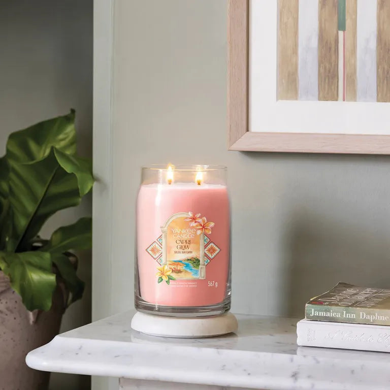 Ellipse Candles - Crimson Berries
