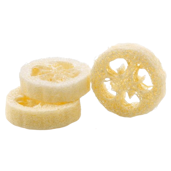 Loofah disc 2cm