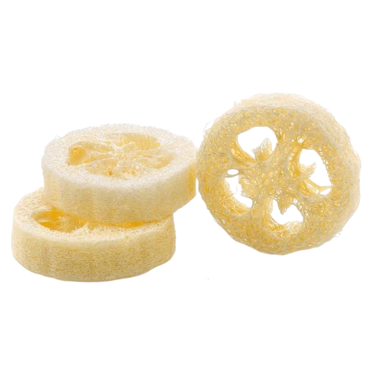 Luffa-Scheibe 2cm - 1 Stk.